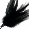 DARKNESS - PLUMA ESTIMULADORA NEGRO 17 CM - Imagen 2