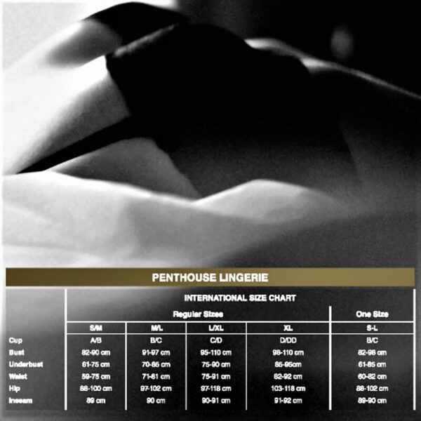 PENTHOUSE - NO EXCUSES MEDIAS S/M/L - Imagen 3