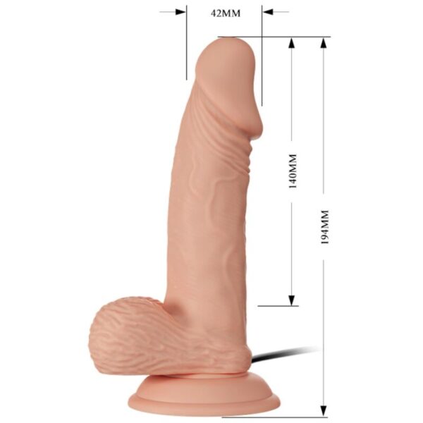 BAILE - BEAUTIFUL ENCOUNTER ZEBULON VIBRACIÓN 19.4 CM NATURAL - Imagen 5