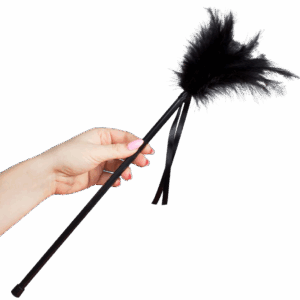 SECRETPLAY - PLUMERO PLUMAS NEGRO 40 CM