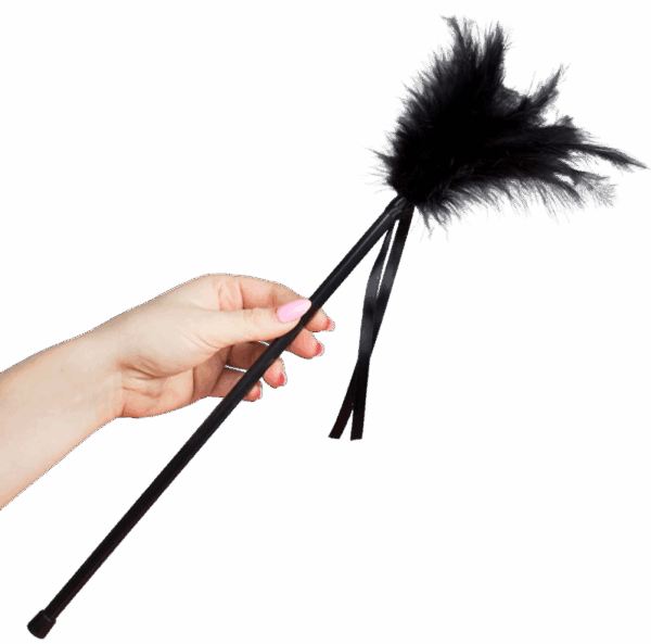 SECRETPLAY - PLUMERO PLUMAS NEGRO 40 CM