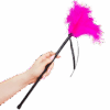 SECRETPLAY - PLUMERO PLUMAS ROSA 40 CM