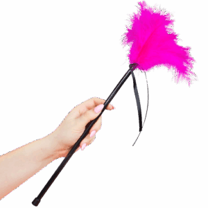 SECRETPLAY - PLUMERO PLUMAS ROSA 40 CM