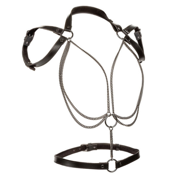 CALEXOTICS - EUPHORIA ARNÉS ESTILO CABESTRO CON MÚLTIPLES CADENAS PREMIUM - Imagen 2