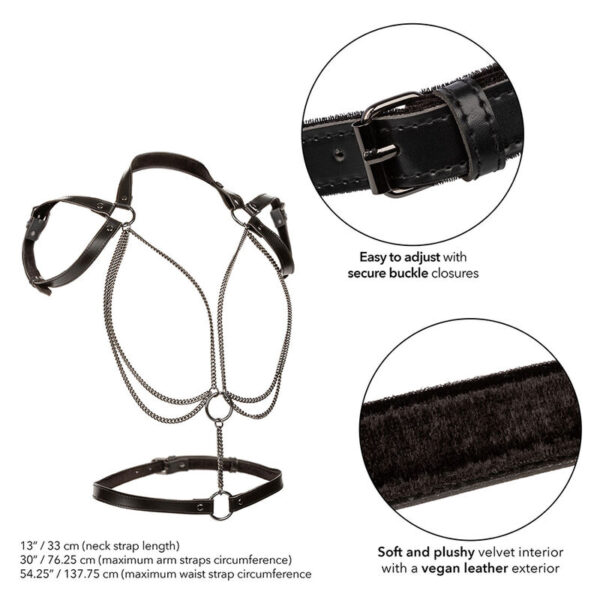 CALEXOTICS - EUPHORIA ARNÉS ESTILO CABESTRO CON MÚLTIPLES CADENAS PREMIUM TALLA PLUS - Imagen 3