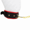 KINK - COLLAR CON CORREA ESPONJA IMITACIÓN CUERO MODELO 2 AJUSTABLE 37-54 CM X 3 CM - Imagen 3