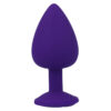 INTENSE - SHELKI L PLUG ANAL LILA - Imagen 5