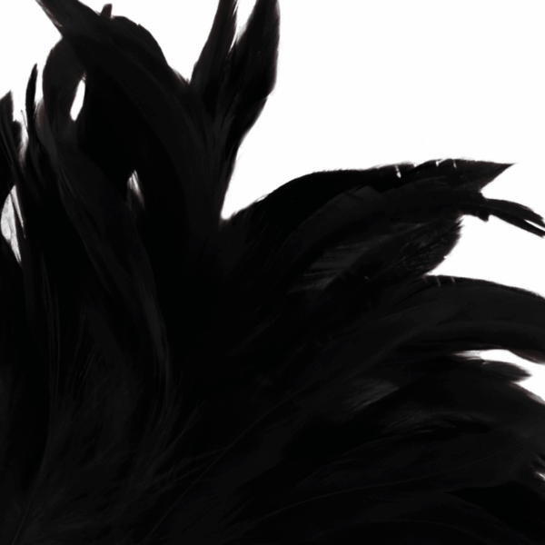 DARKNESS - PLUMA ESTIMULADORA NEGRO LUX - Imagen 2